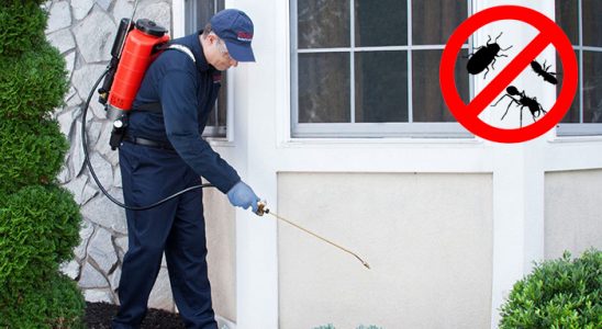 Torbalı Hamam Böceği İlaçlama böcek ilaçlama ve haşere kontrolü — ilaclama-tr.com